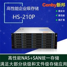 Cenby新邦HS-210P高性能24盘位磁盘阵列 iSCSI FC NAS 万兆光纤共享存储576T